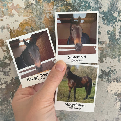 Personalised Photo Magnets
