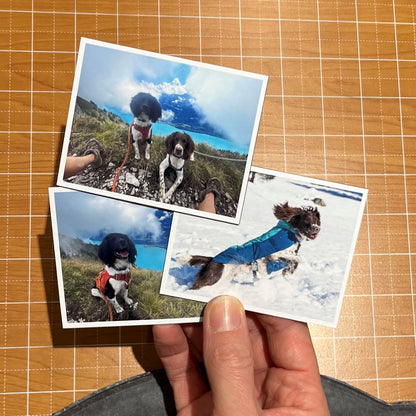 Photo Magnets Medium