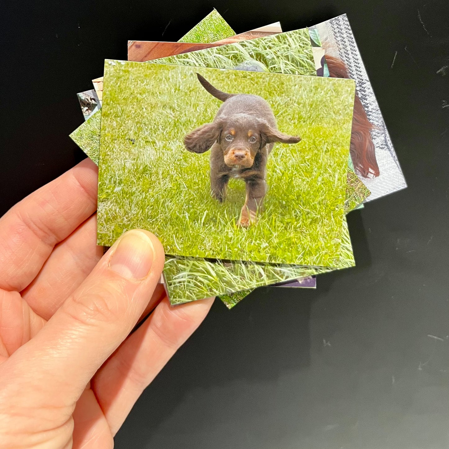Photo Magnets Medium
