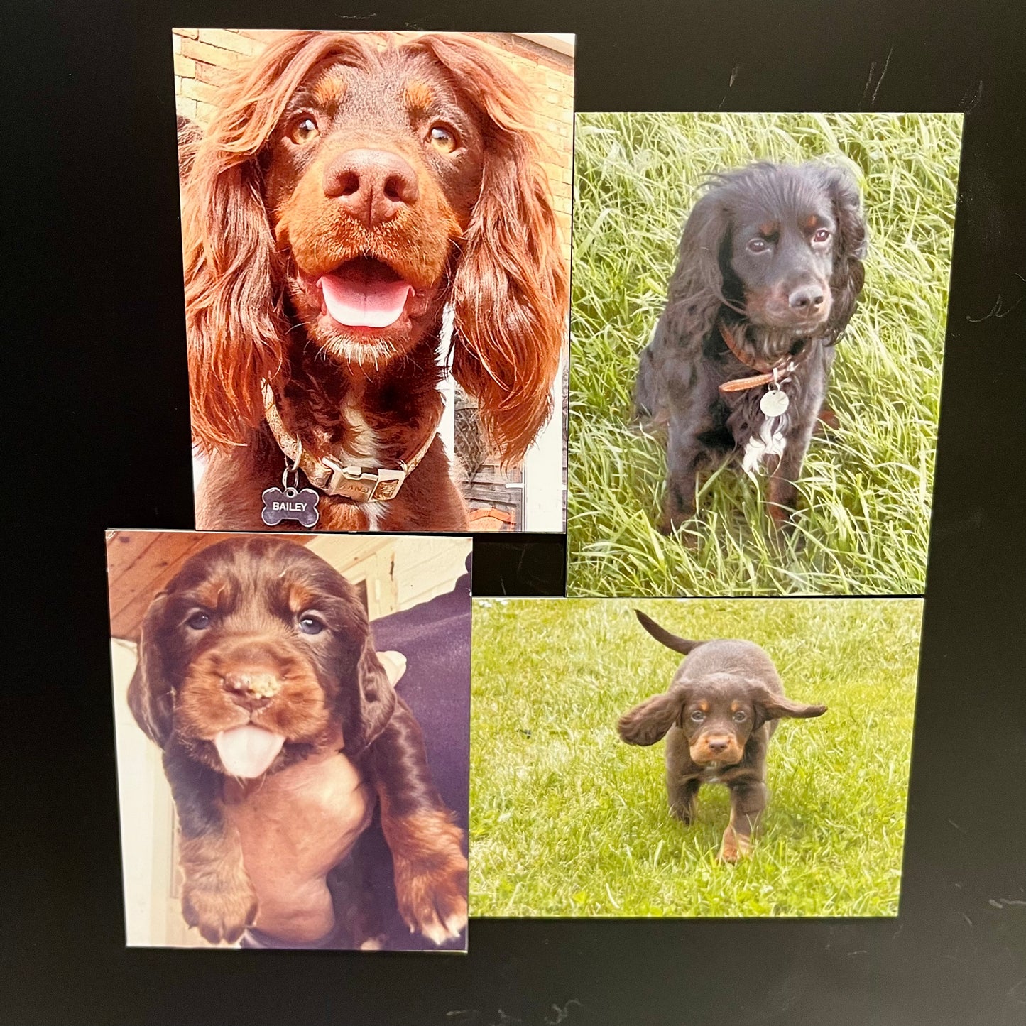 Photo Magnets Medium