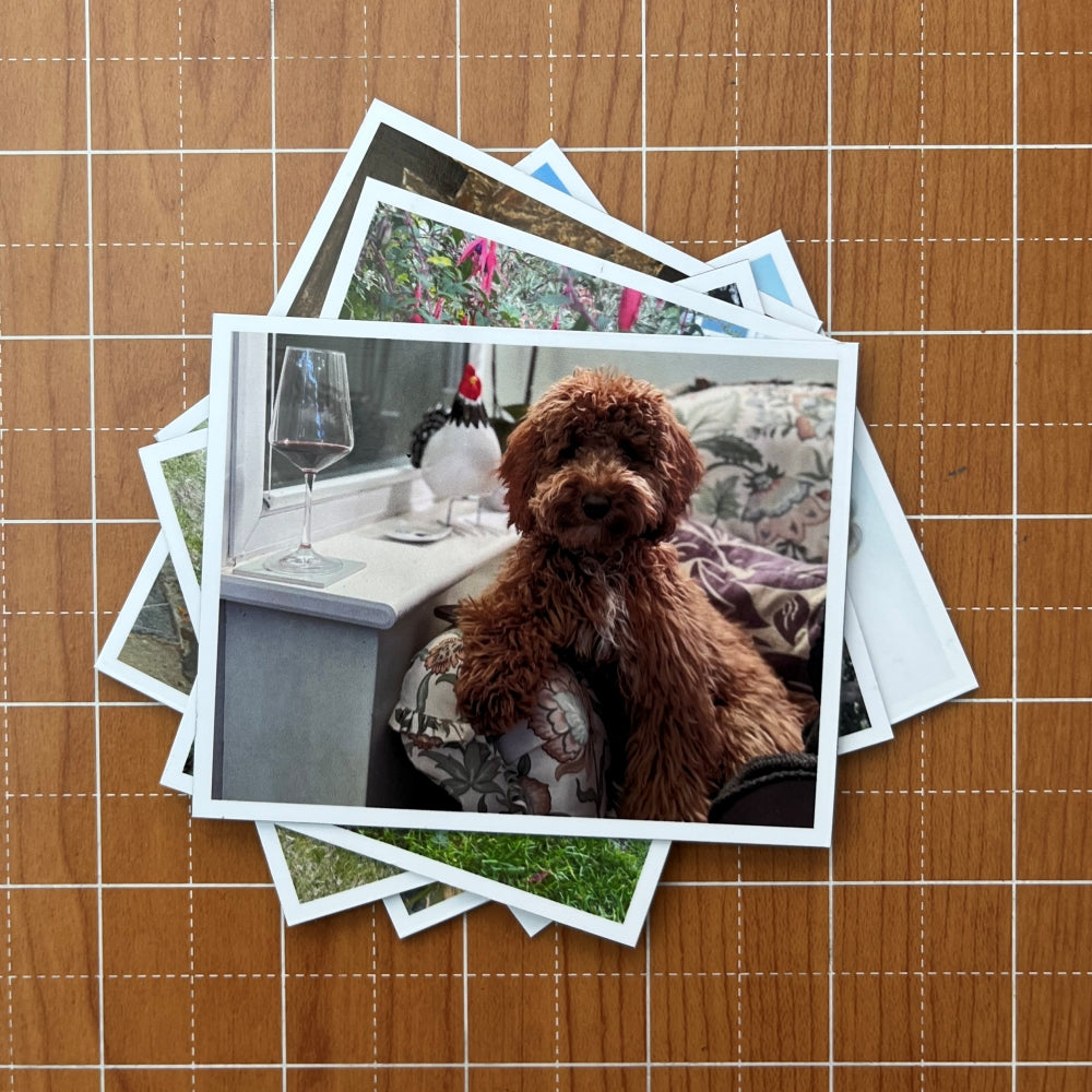Photo Magnets Medium