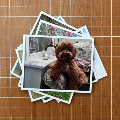 Photo Magnets Medium